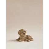 ASDA George Home Brown Resin Cockapoo Garden Ornament- Buy online at McGrocer