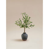 ASDA George Home Artificial Olive Plant in Black Pot- Buy online at McGrocer