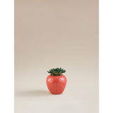 ASDA George Home Red Artificial Strawberry Succulent Decorative Plant 11 x 11 x 13.5cm- Buy online at McGrocer