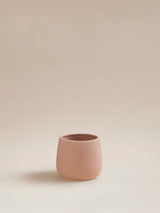 ASDA George Home Round Stone Finish Planter 15x15x13cm- Buy online at McGrocer
