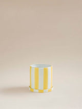 ASDA George Home Yellow Striped Plant Pot 15.5x14.5cm- Buy online at McGrocer