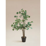 ASDA George Home Eucalyptus Tree Artificial Decorative Tree 15 x 15 x 90 cm- Buy online at McGrocer
