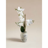 George Home large white orchid 57cm, UK version