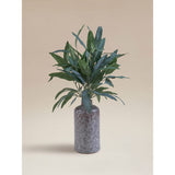 ASDA Blue Artificial Willow Leaf in Ceramic Pot (10 x 10 x 50cm)- Buy online at McGrocer
