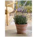 ASDA Terracotta Large Ceramic Planter- Buy online at McGrocer