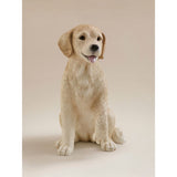Hand painted dog garden ornament 26.3cm (British brand)