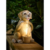 Decorative solar light featuring hand-painted Brown Dog, UK version