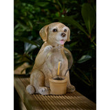 Decorative solar light featuring hand-painted Brown Dog, UK version