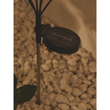 Clear Bee Solar Stake Light warm white LEDs (British brand)