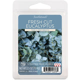 ScentSationals Fresh Cut Eucalyptus wax melts 70g (British brand)