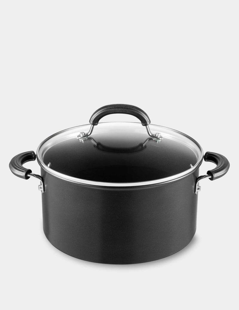 Total induction stockpot with lid 24cm 5.7L (British brand)