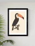 East End Prints Toucan framed art by Aster - British product