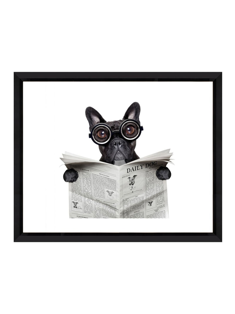 Brookpace Lascelles Bulldog News frame 56x46cm - British product