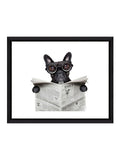 Brookpace Lascelles Bulldog News frame 56x46cm - British product