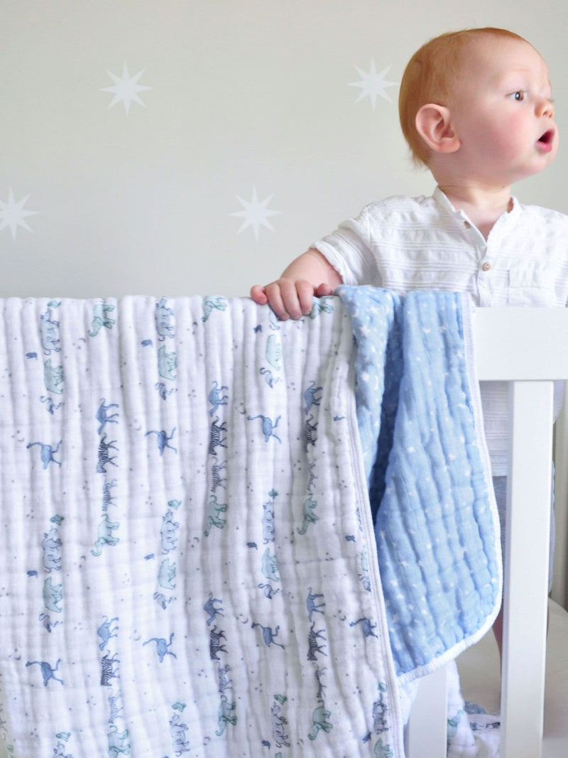 aden + anais Blue Rising Star Dream muslin blanket (British brand)