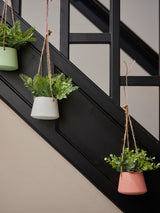 Next Everlands Decoris Set of 3 Hanging Artificial Plants- Buy online at McGrocer