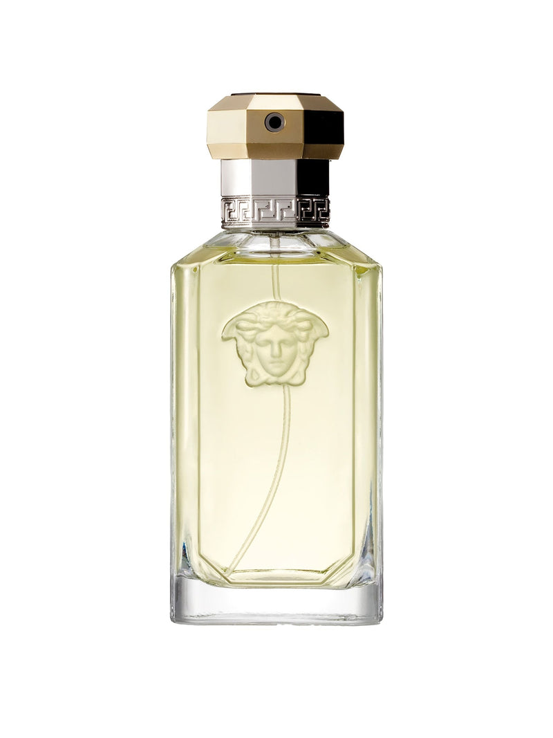 Versace Dreamer Eau de Toilette 100ml (British brand)