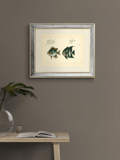 Next Brookpace Lascelles Bloch Antique Fish II Antique Gold Mirrored Frame Wall Mirror 40 x 50cm- Buy online at McGrocer