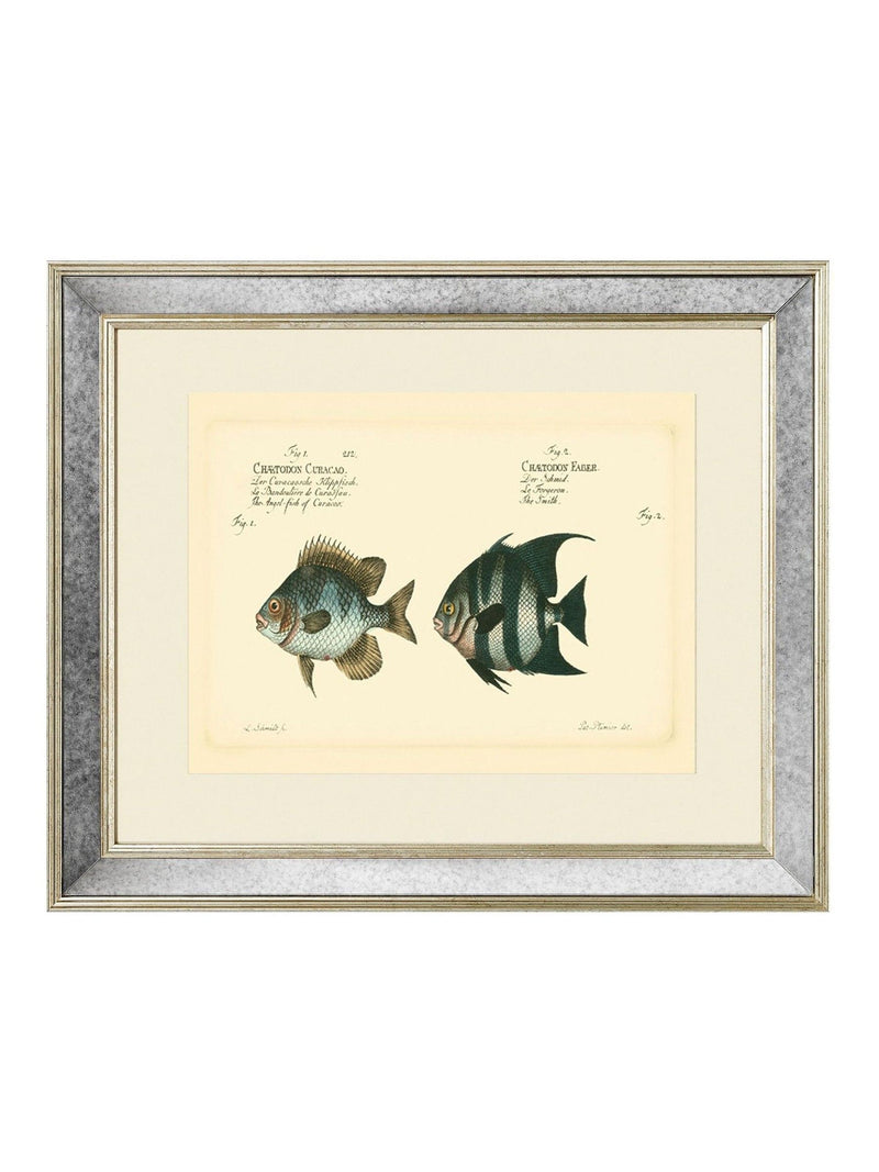 Brookpace Lascelles antique fish mirror 40x50cm, UK version