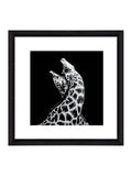 Brookpace Lascelles In Love wall art frame 40x40cm - British product