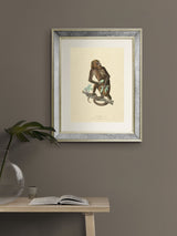 Next Brookpace Lascelles Primate I Wall Art in Antique Gold Toned Mirrored Frame 40 x 50cm- Buy online at McGrocer