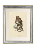 Brookpace Lascelles Primate I wall art 40x50cm antique gold frame, UK version