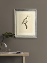 Next Brookpace Lascelles Hand Made in UK Tropical Bird I Wall Art in Antique Gold Toned Mirrored Frame 40 x 50cm- Buy online at McGrocer