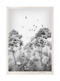 Graham & Brown Grizedale Mono wall art in white frame, UK version