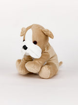 Next Warmies Beige and White Large Bulldog Fully Heatable Soft Toy- Buy online at McGrocer