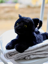 Next Warmies Black Large Cat Heatable Plush Toy- Buy online at McGrocer