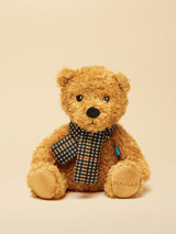 Next Joules Henson Check Heritage Teddy Dog Toy- Buy online at McGrocer