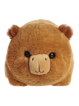 Next Aurora World Spudsters Carmen Capybara Plush Toy 10in- Buy online at McGrocer