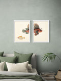 East End Prints Set of 2 Oak Fish Wall Art Prints by Natural History Museum