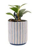 Widdop Disney Stitch planter 23cm (British brand)