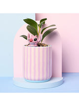 Next Widdop Pink Disney Stitch Planter with 3D Angel & Faux Plant - 23cm- Buy online at McGrocer