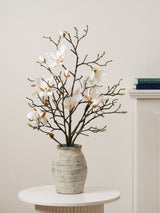 Next Scottish Everlastings Ltd White Artificial Magnolia in Resin Pot- Buy online at McGrocer