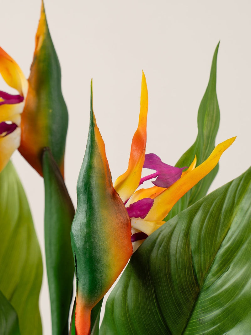 Scottish Everlastings artificial bird of paradise tree with flower 83cm, UK version