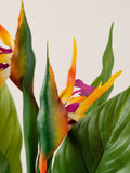 Scottish Everlastings artificial bird of paradise tree with flower 83cm, UK version