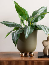 Next Present Time Estilo Large Plant Pot - Mocha Brown- Buy online at McGrocer