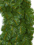 Premier Decorations 50cm Alaskan Pine wreath (British brand)
