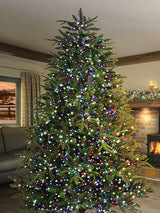 Next Premier Decorations Ltd Enchanted 500 LED Multi-Action Christmas Tree Lights 1250cm- Buy online at McGrocer