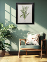 Next The Art Group Cream Spiny Date Palm Framed Canvas Print- Buy online at McGrocer
