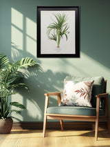 Next The Art Group Cream Curly Palm Framed Canvas 48 x 58 x 3.5 cm- Buy online at McGrocer