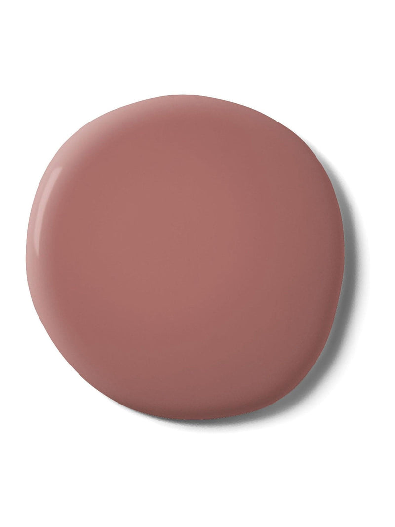 Graham & Brown Bobbi Resistance Matt Emulsion Paint (British brand)