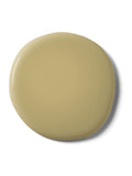 Graham & Brown Fortune Teller matt emulsion paint - British product