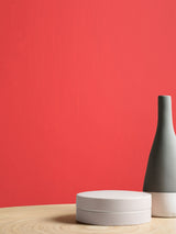 Next Graham & Brown Dubai Resistance Matt Emulsion Paint- Buy online at McGrocer