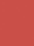 Graham & Brown King of Paradise red emulsion paint (British brand)