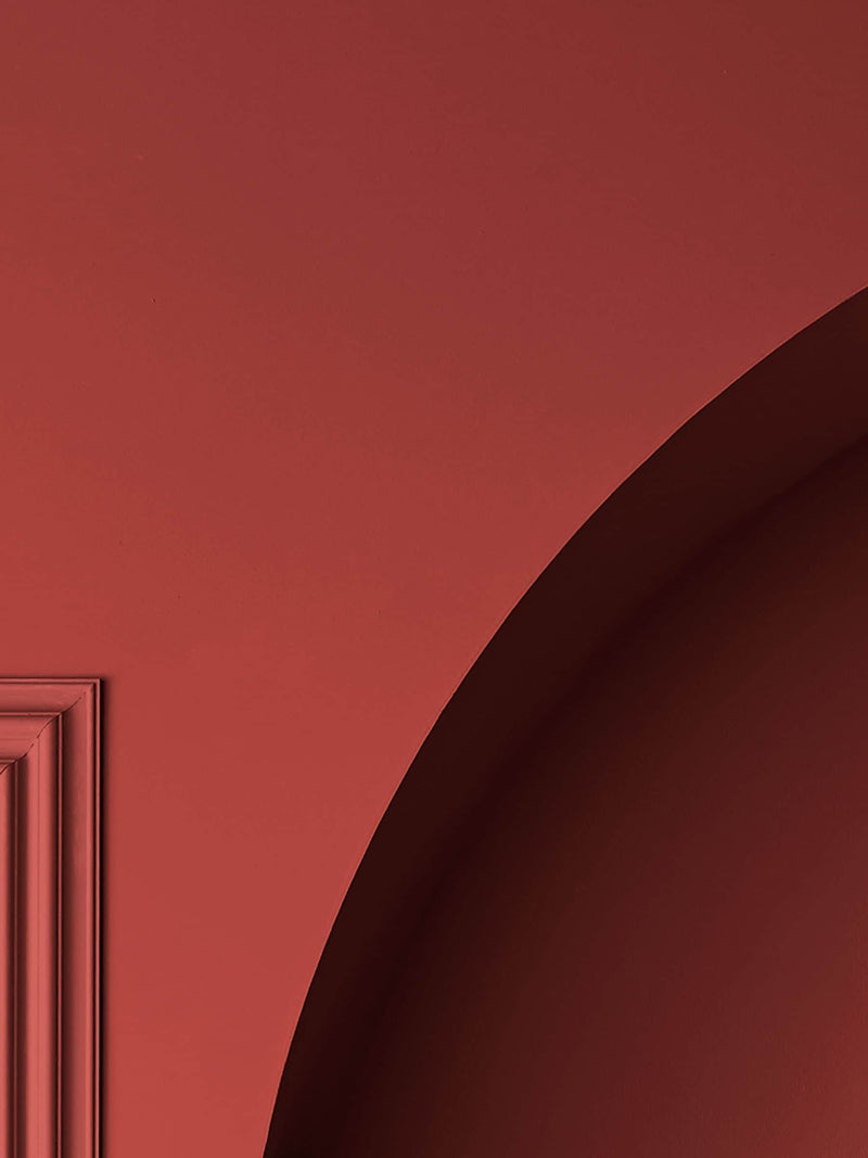 Graham & Brown King of Paradise red emulsion paint (British brand)