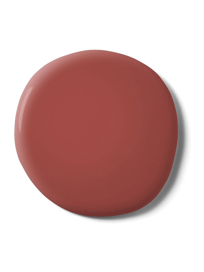 Graham & Brown King of Paradise red emulsion paint (British brand)
