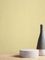 Next Graham & Brown Chickadee Resistance Matt Emulsion Paint- Buy online at McGrocer